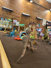 Load image into Gallery viewer, Dino Party February 25