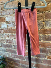 Load image into Gallery viewer, The Autumn Bloom Set