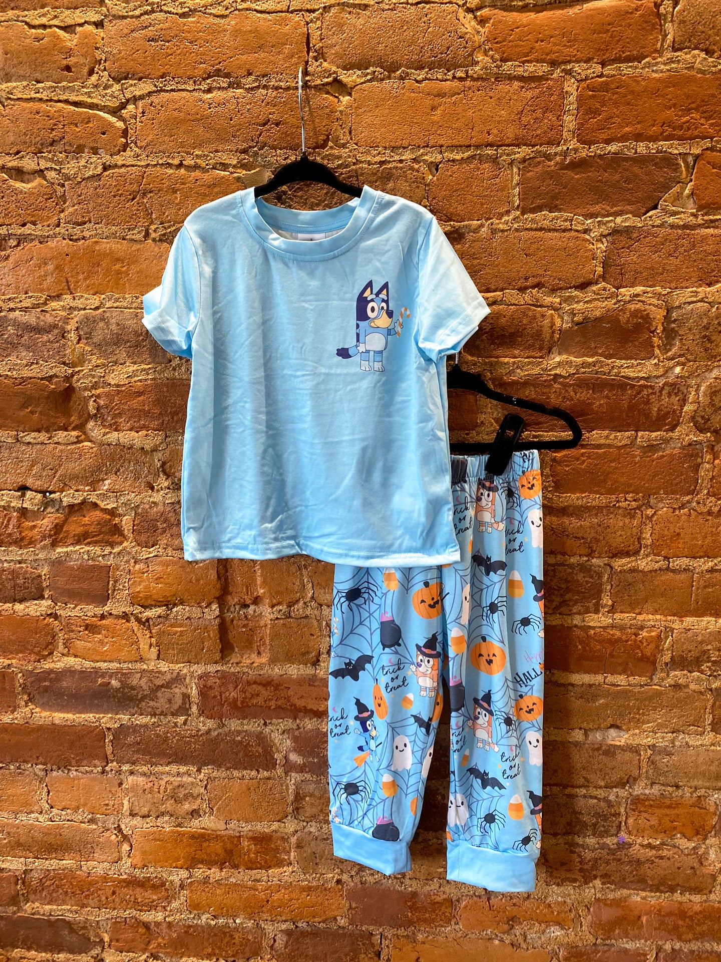 Bluey Trick or Treat Set